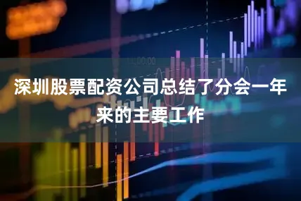 深圳股票配资公司总结了分会一年来的主要工作